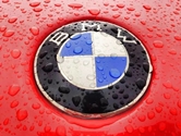 marca's Avatar